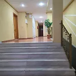 Torremaria تورّيفيِخا