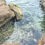 شقة Torremaria