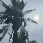 Torremaria Τορεβιέχα