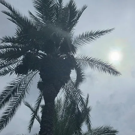 Torremaria Torrevieja