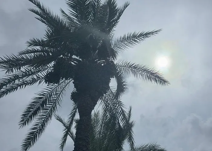 Torremaria Torrevieja