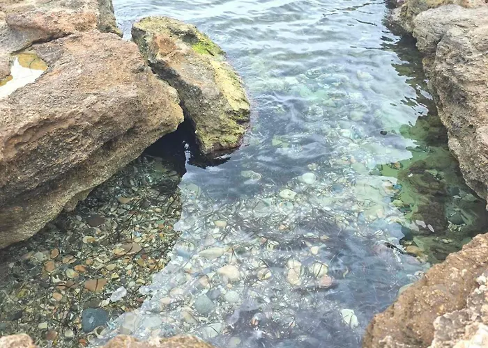 Lägenhet Torremaria